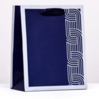 Подарочный пакет  "Синий минимализм"