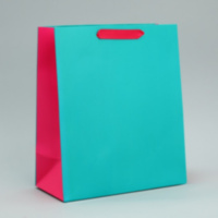 Пакет подарочный двухцветный «Розовый-голубой»