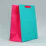 Пакет подарочный двухцветный «Розовый-голубой»