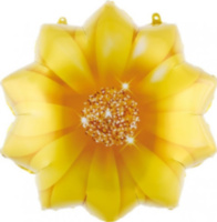 Фигура Цветок, Желтый