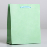 Пакет ламинированный «Зелёный»