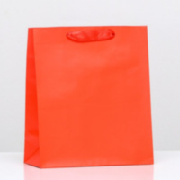 Пакет ламинированный «Красный»